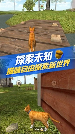 猫咪生存模拟器无广告版