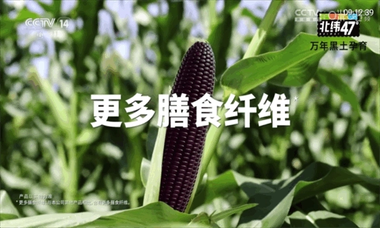 秋水TV盒子版图3