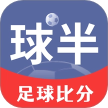 球半正版