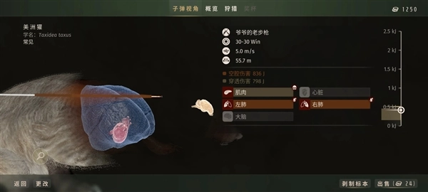 猎人之路狂野美国(5)