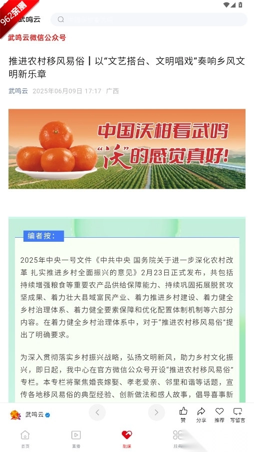 武鸣云