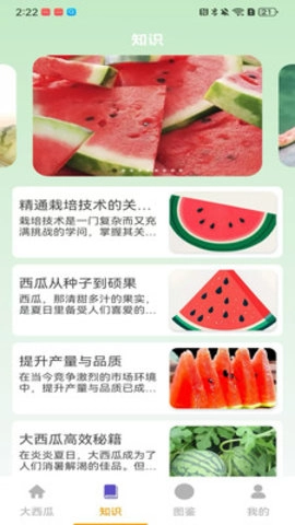 就要大西瓜图1