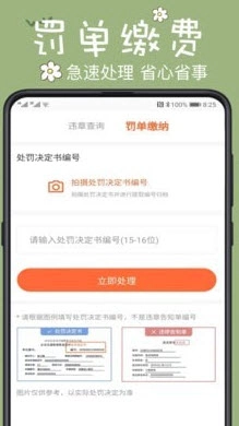 123违章查询手机版图4