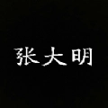 张大明手游直装版