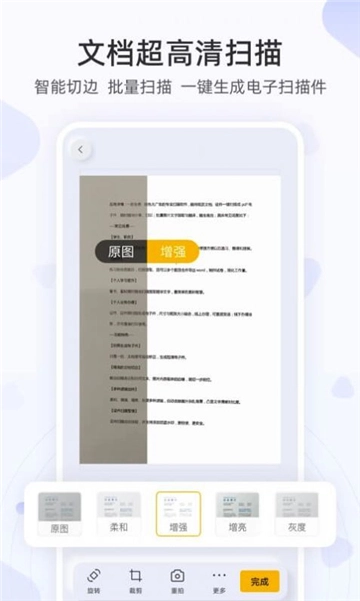 琥珀扫描图2