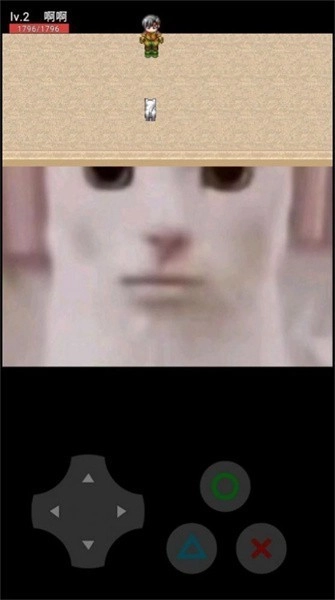 猫咪惊魂手机版