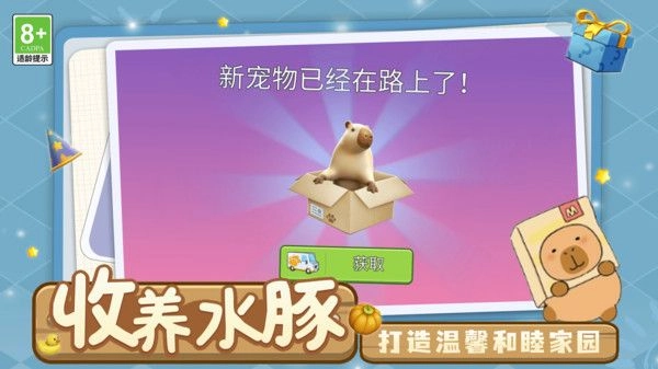 天天养成模拟图4