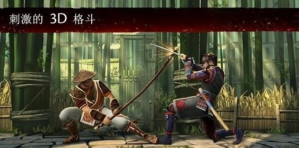 暗影格斗3国际服(1)
