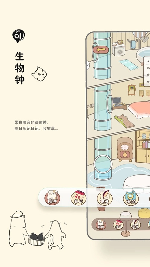 Bidow图1