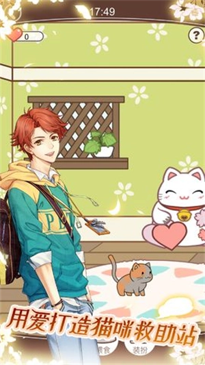 猫咪异闻正版