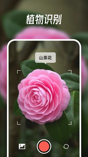 智能识别大师图1