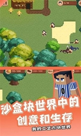 我的工艺方块世界完整版(2)