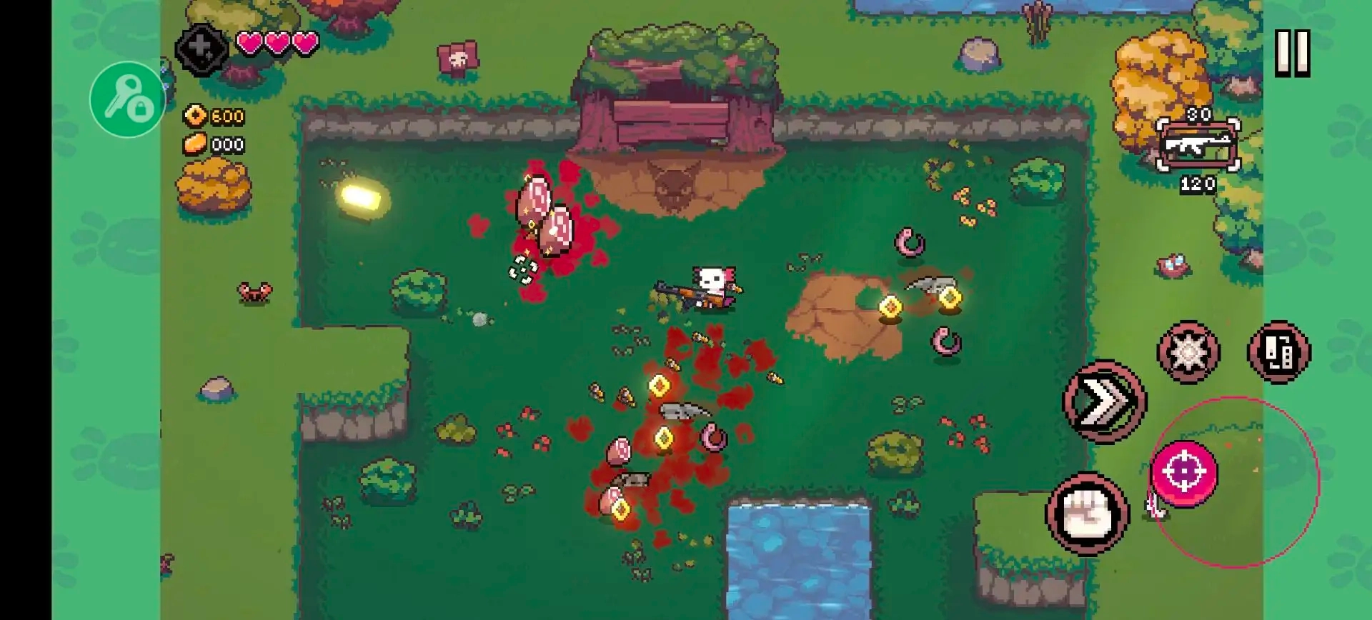 AK蝾螈最新免费版图3