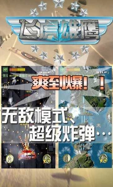 飞虎雄鹰 