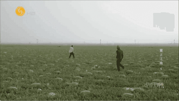 OK芸影视 截图2