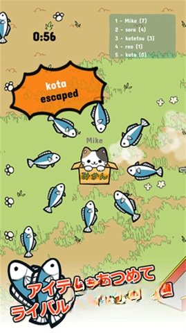 公园里的野猫截图1