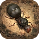 小小蚁国国际服