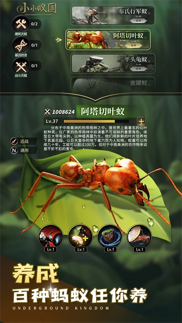 小小蚁国国际服官方版图1