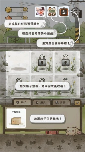 猫箱物语(3)