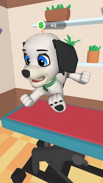 狗狗美容护理(1)