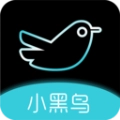 小黑鸟