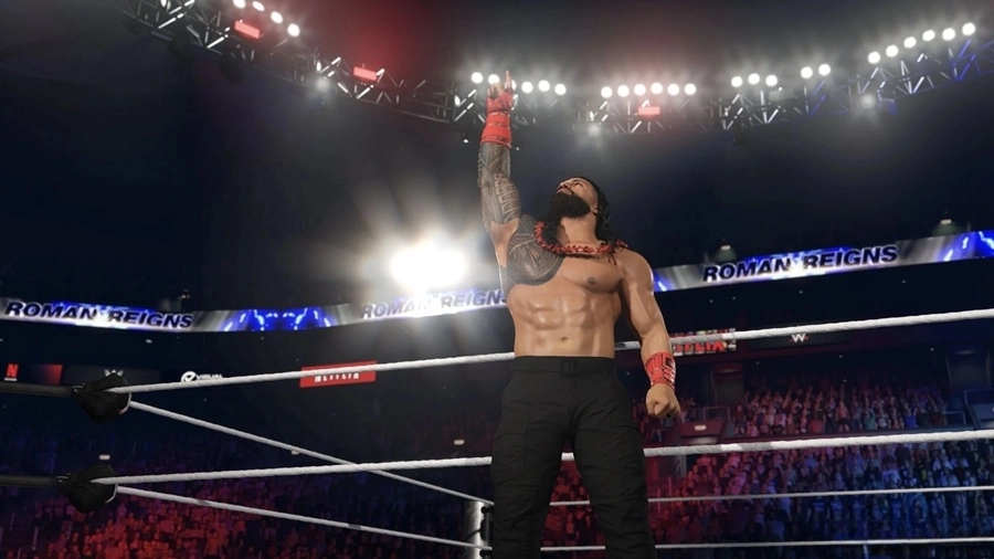WWE2K25网飞版