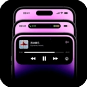 灵动胶囊安卓版