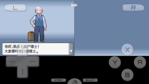 口袋妖怪钻石中文版(2)