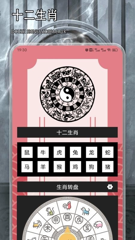 八字解读免费版