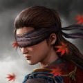 影子獵人的傳說游戲