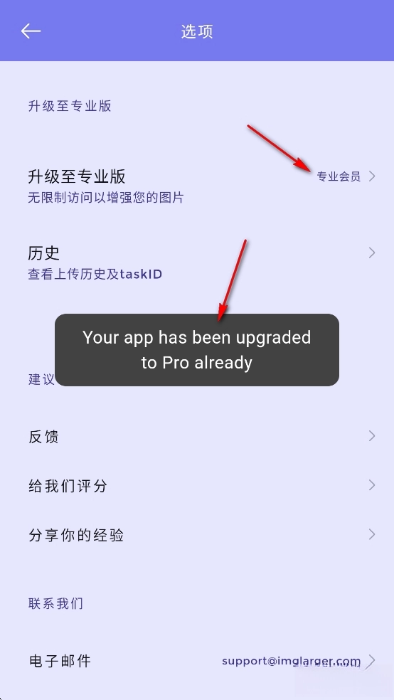 画质2x专业版图5