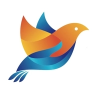 飞鸽点餐最新版