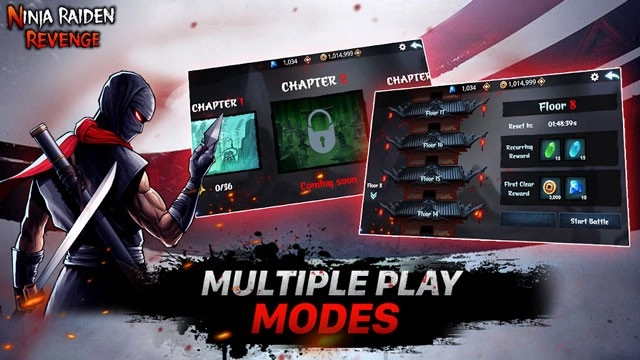 NinjaRaidenRevenge