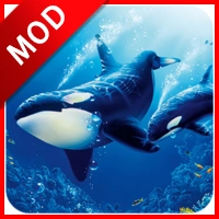 虎鲸模拟器最新版