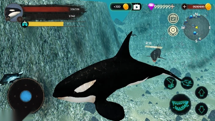 虎鲸模拟器最新版