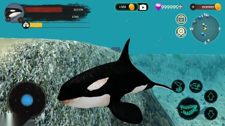 虎鲸模拟器最新版