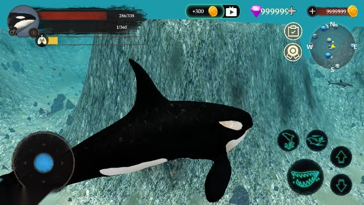 虎鲸模拟器最新版