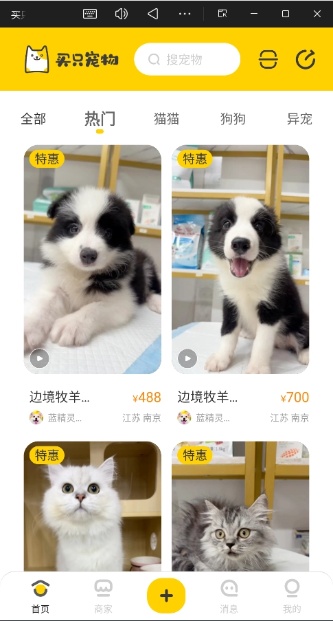 买只宠物直装版图1