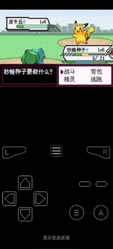 口袋妖怪最后的火红(1)