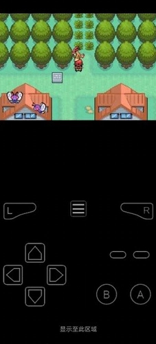 口袋妖怪最后的火红(2)