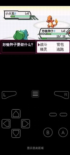 口袋妖怪最后的火红(3)