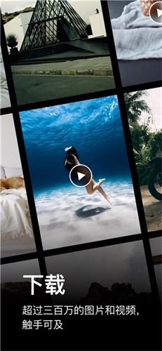 Pexels手机版安卓下载