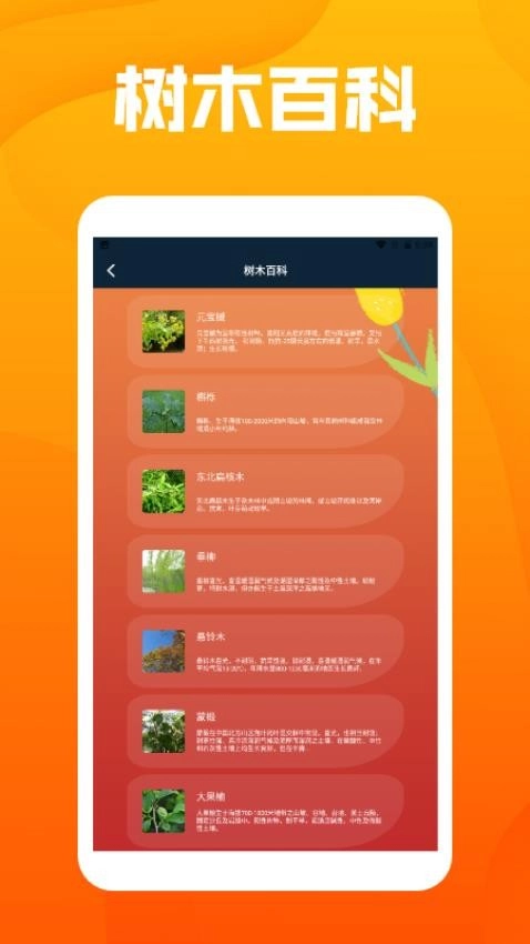 花朵物语pro手机免费版图1