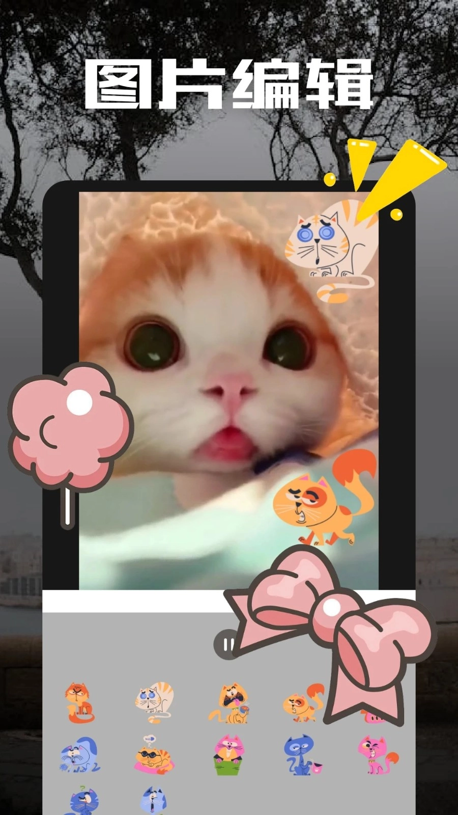 二皮剪辑图1