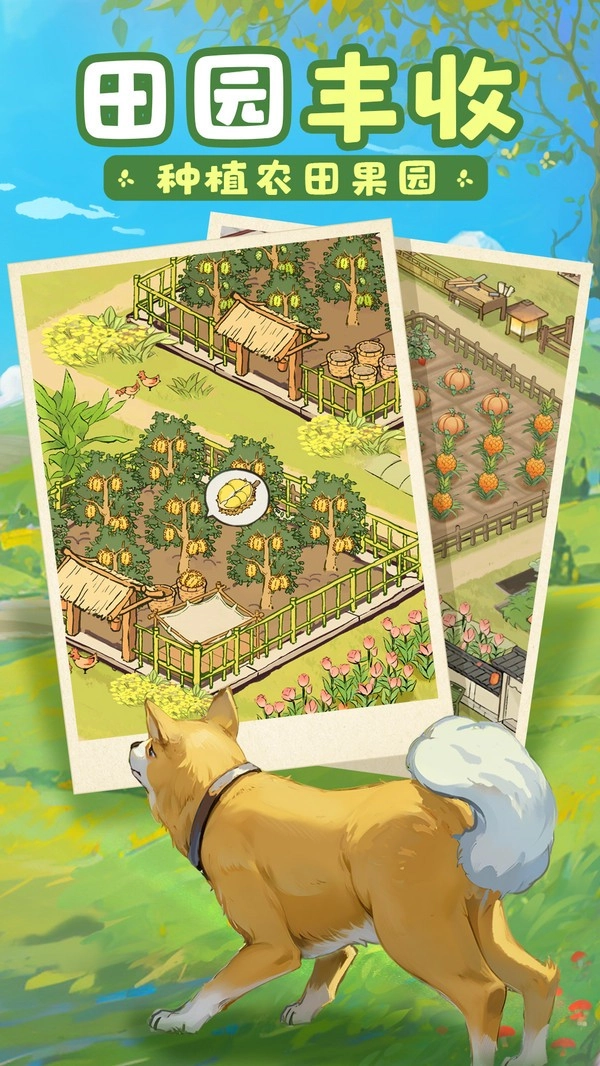 這城有良田正版截圖3
