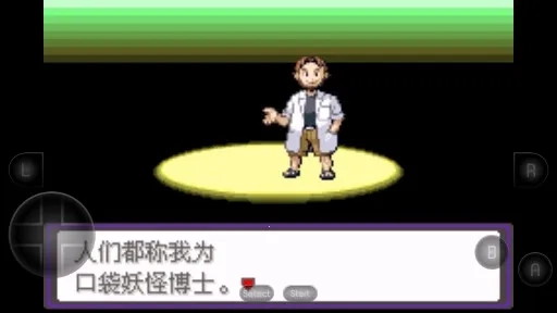 口袋妖怪：漆黑的魅影DP(口袋冒险游)  安卓版(3)