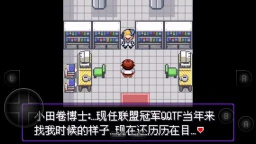 口袋妖怪：漆黑的魅影DP(口袋冒险游)  安卓版(1)