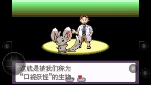 口袋妖怪：漆黑的魅影DP(口袋冒险游)  安卓版(4)