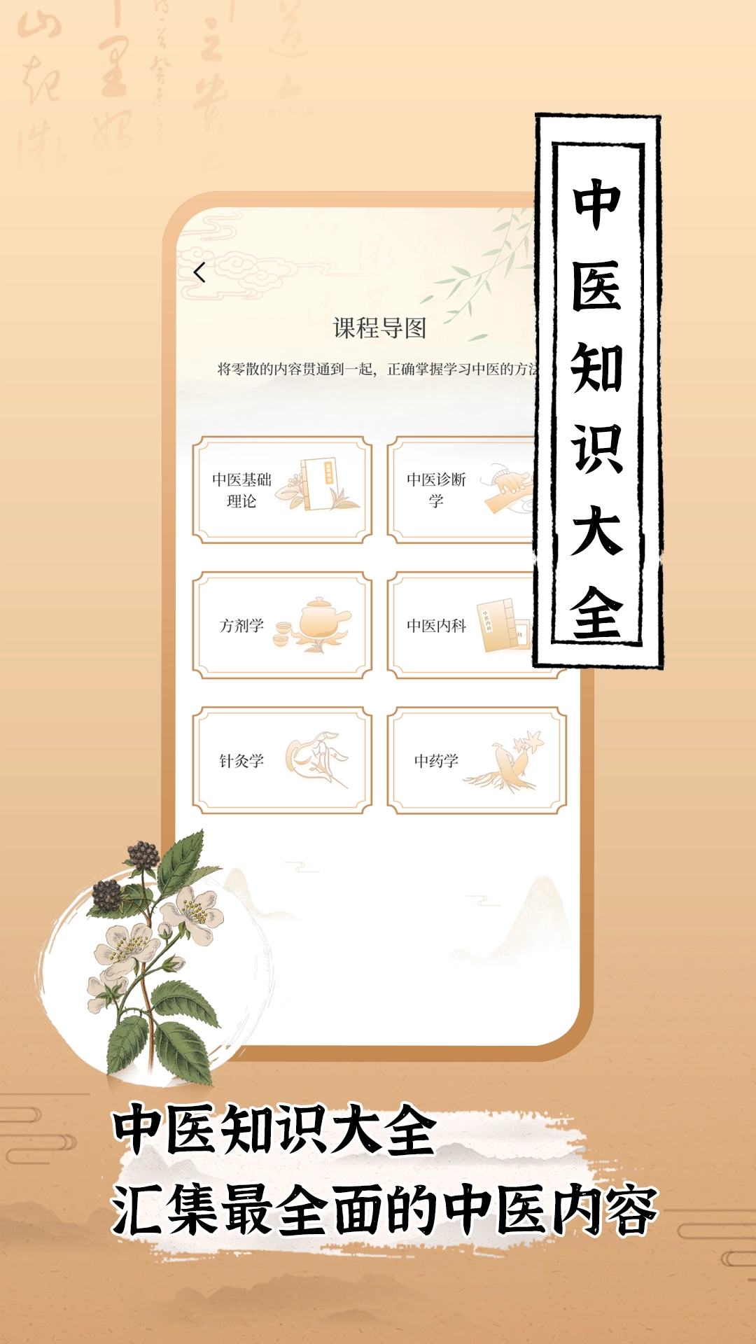 中医世家最新版图3