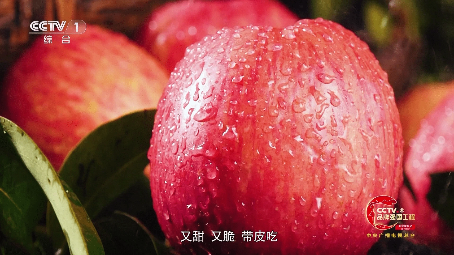 小云TV版图3
